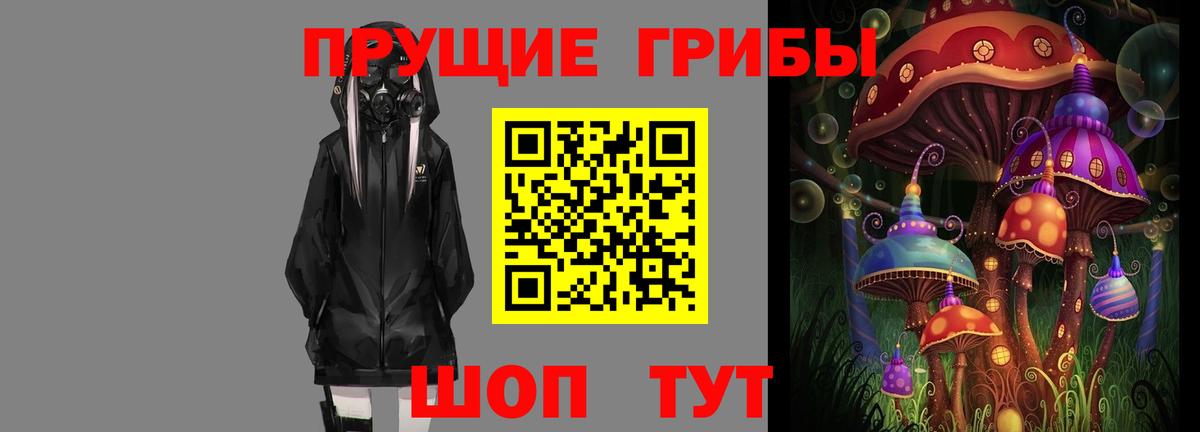 что такое   Вход с VPN  Советский  Псилоцибиновые грибы прущие грибы 